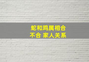 蛇和鸡属相合不合 家人关系